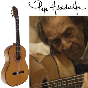 guitarra vicente tatay